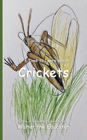 It's Time to Learn about Crickets