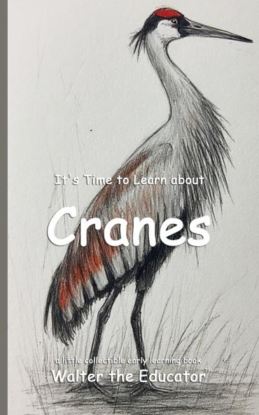 It's Time to Learn about Cranes