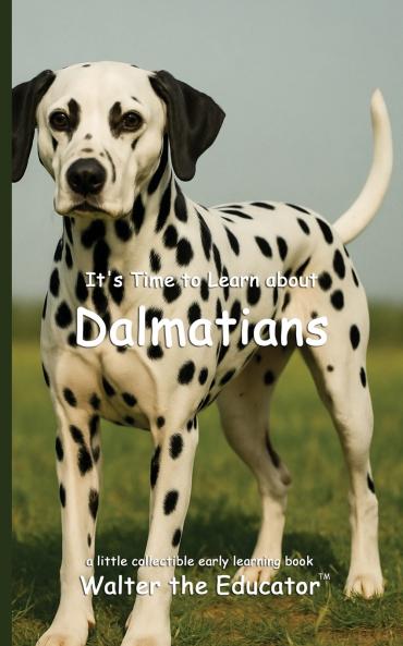 It's Time to Learn about Dalmatians