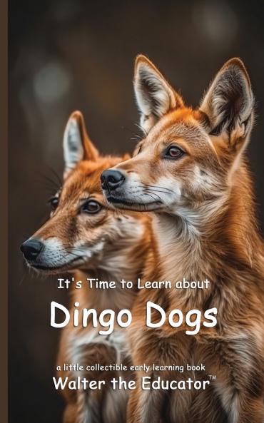 It's Time to Learn about Dingo Dogs