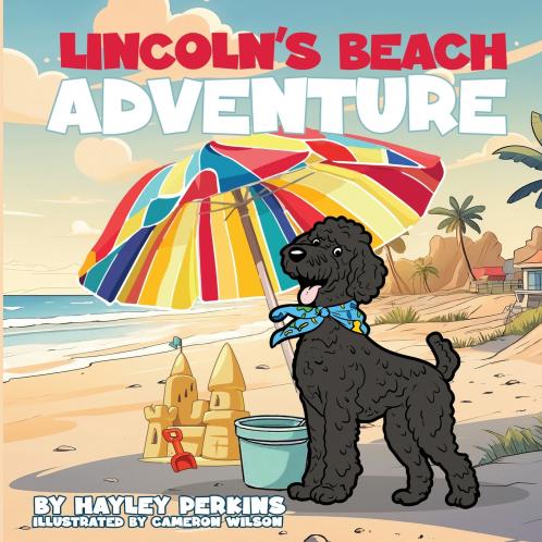 Lincoln's Beach Adventure