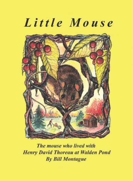 Little Mouse