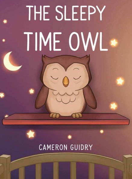 The Sleepy Time Owl