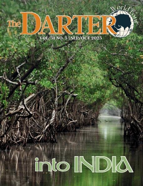 The Darter