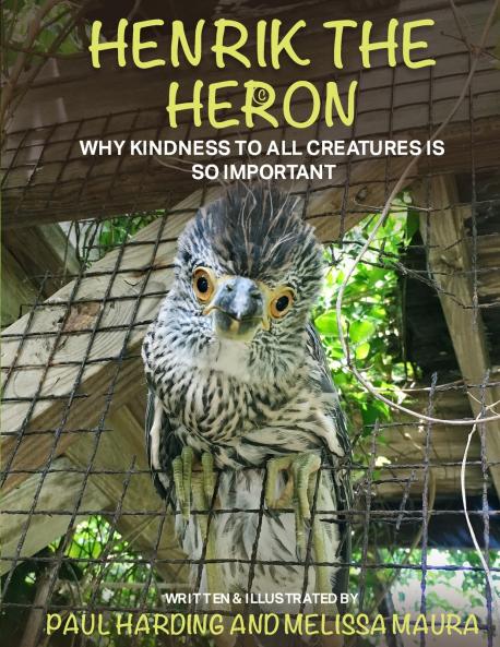 Henrik the Heron
