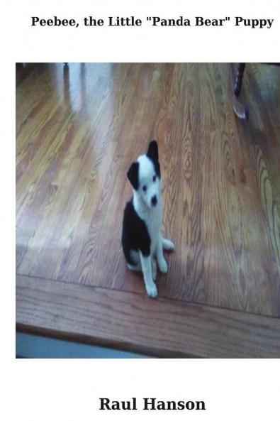 Peebee the Little Panda Bear Puppy