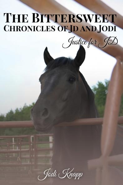 The Bittersweet Chronicles of JD and Jodi
