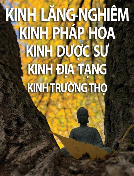 Kinh Lăng-Nghiêm Kinh Pháp Hoa Kinh Dược Sư Kinh Địa Tạng Kinh Trường Thọ
