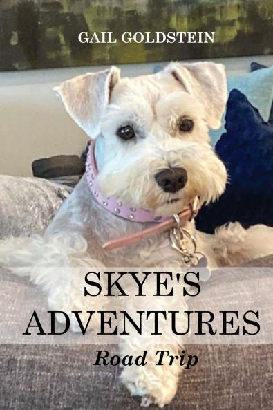 Skye's Adventures