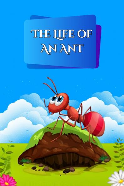 The Life of an Ant