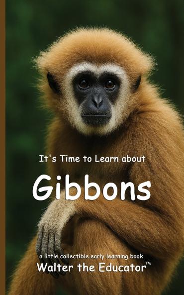 It's Time to Learn about Gibbons