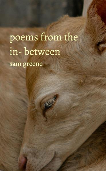 Poems from the in-between