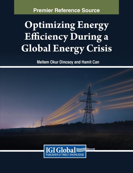 Optimizing Energy Efficiency During a Global Energy Crisis