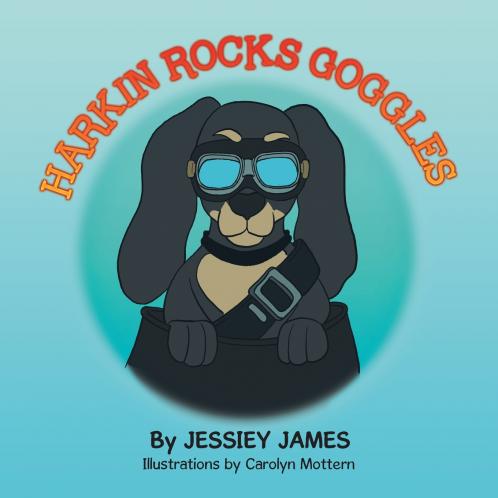 HARKIN ROCKS GOGGLES