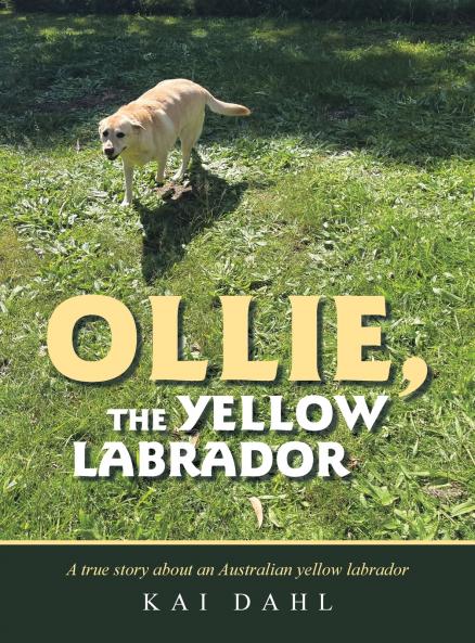 OLLIE THE YELLOW LABRADOR