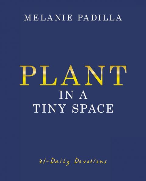 Plant in A Tiny Space