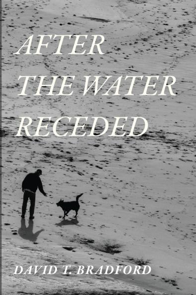 After the Water Receded