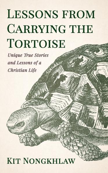 Lessons from Carrying the Tortoise