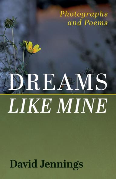 Dreams Like Mine