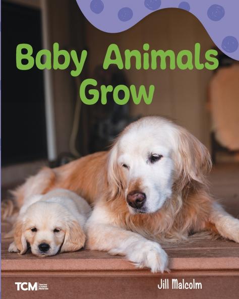 Baby Animals Grow