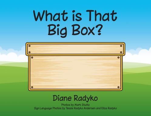 What is That Big Box?
