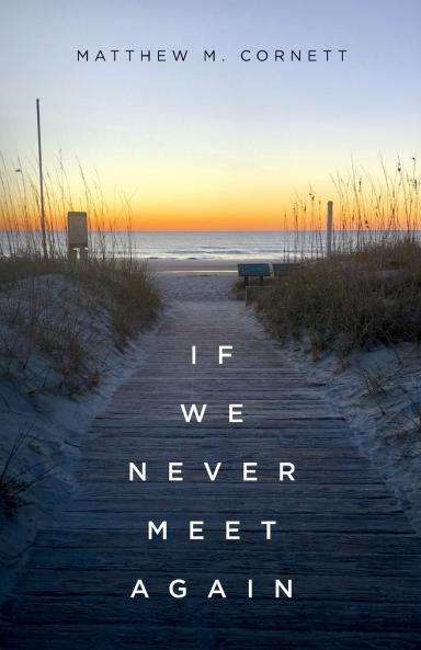 If We Never Meet Again