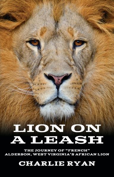 Lion On A Leash