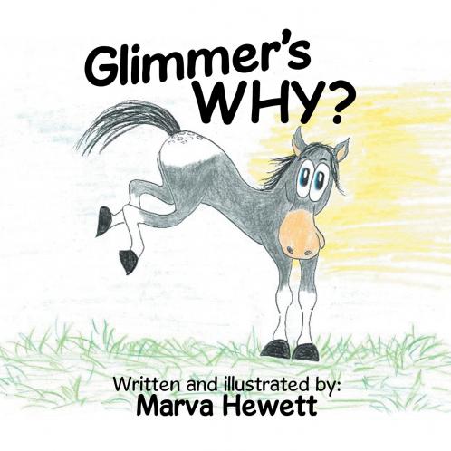 Glimmer's WHY?