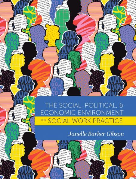 Social Political and Economic Environment for Social Work Practice