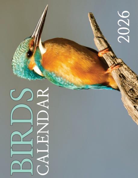 Birds Calendar 2026