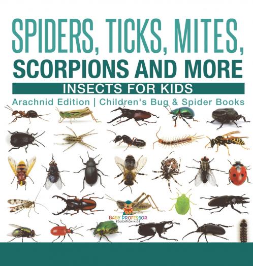 Spiders Ticks Mites Scorpions and More | Insects for Kids - Arachnid Edition | Children's Bug & Spider Books