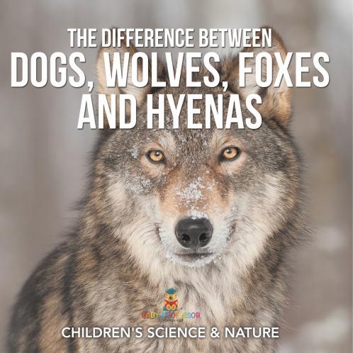 The Difference Between Dogs Wolves Foxes and Hyenas | Children's Science & Nature