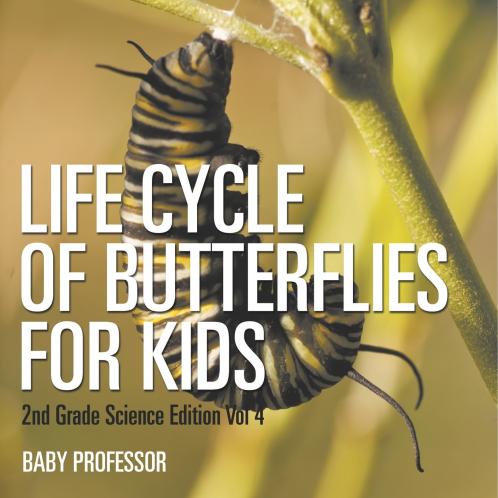 Life Cycle Of Butterflies for Kids | 2nd Grade Science Edition Vol 4