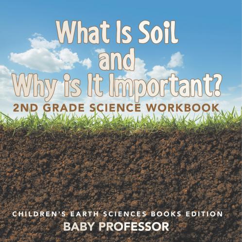 What Is Soil and Why is It Important?
