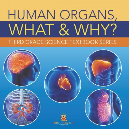 Human Organs What & Why?