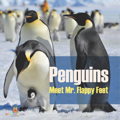 Penguins - Meet Mr. Flappy Feet