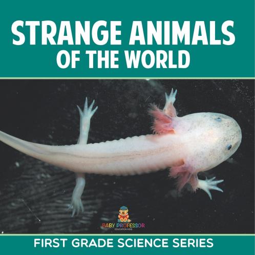 Strange Animals Of The World