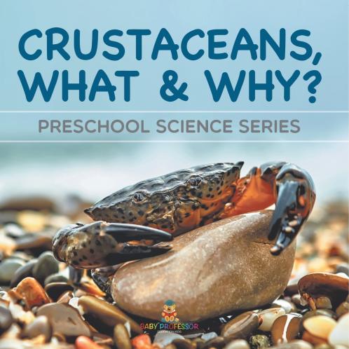 Crustaceans What & Why?