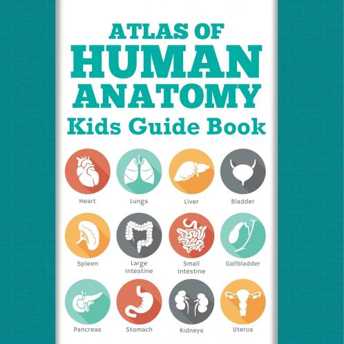 Atlas Of Human Anatomy