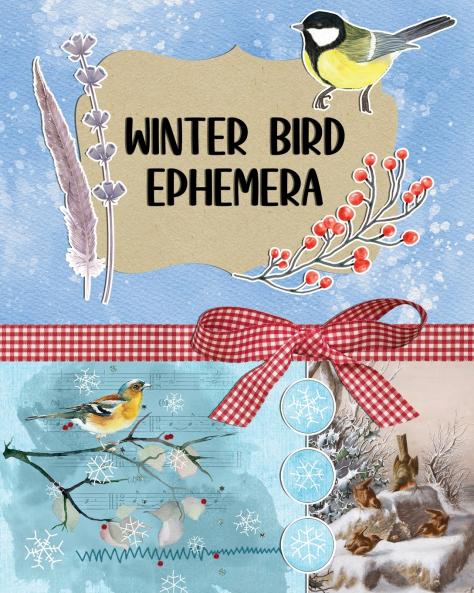 Winter Bird Ephemera Collection