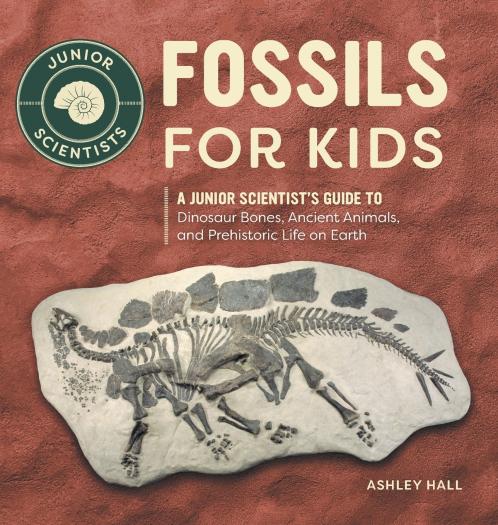 Fossils for Kids