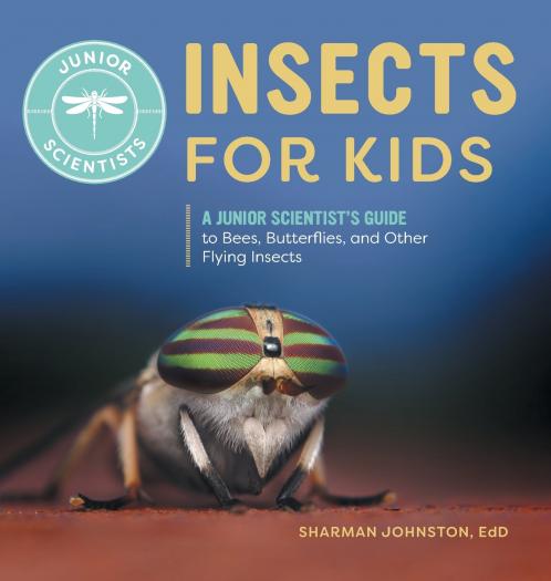 Insects for Kids