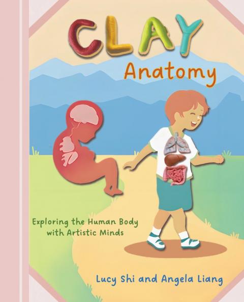 Clay Anatomy