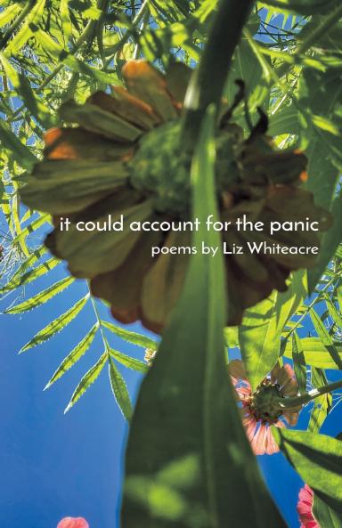 it could account for the panic