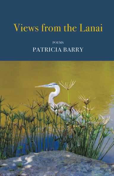 Views from the Lanai