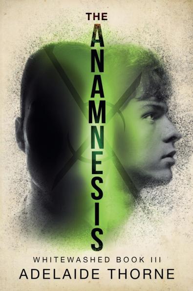 The Anamnesis