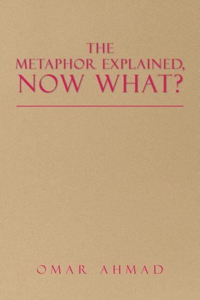 The Metaphor Explained Now What?