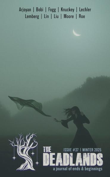 The Deadlands - Issue 37