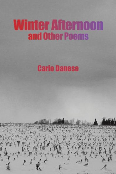 Winter Afternoon and Other Poems