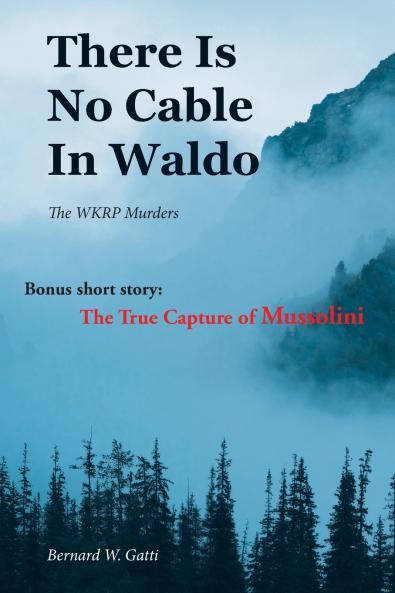 There Is No Cable In Waldo